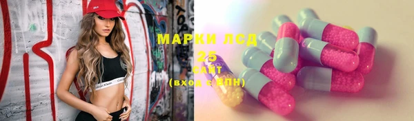твердый Осинники
