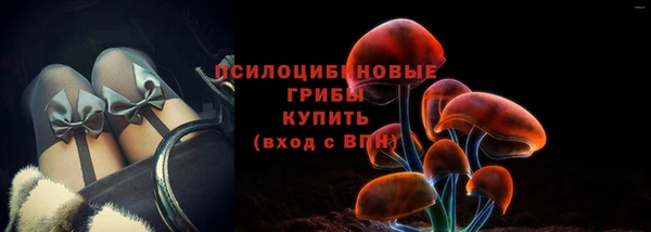 твердый Осинники
