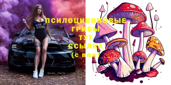 твердый Осинники