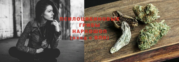 ГАЛЛЮЦИНОГЕННЫЕ ГРИБЫ Остров