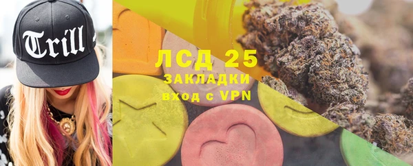 индика Видное